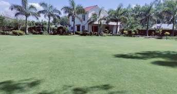  Plot For Resale in Gaur Yamuna City 2nd Park View Yex Gaur Yamuna City Greater Noida 6774511