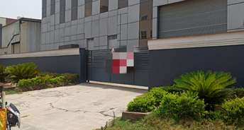 Commercial Warehouse 221000 Sq.Ft. For Rent In Bilaspur Gurgaon 6774526