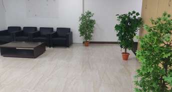 Commercial Office Space 10000 Sq.Ft. For Rent In Gachibowli Hyderabad 6774690