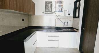 2 BHK Apartment For Rent in Unique Legacy Keshav Nagar Pune 6775258