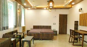 Studio Builder Floor For Rent in RWA Green Park Extension Green Park Delhi 6775318