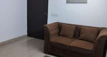 2 BHK Apartment For Rent in Today Ridge Residency Sector 135 Noida 6775341