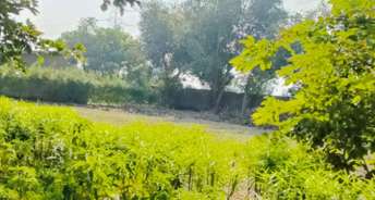  Plot For Resale in South Bopal Ahmedabad 6775412