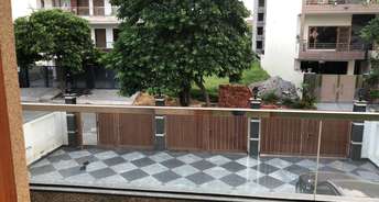 3 BHK Builder Floor For Rent in BP Homes Sector 85 Faridabad 6775459
