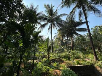 Commercial Land 48 Acre For Resale In Thiroor Thrissur 6775609