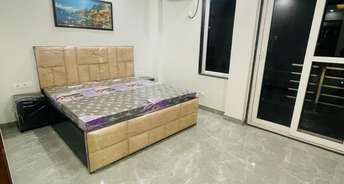2 BHK Builder Floor For Rent in Sector 51 Gurgaon 6775623