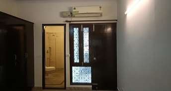 3 BHK Builder Floor For Rent in RWA Sarvapriya Vihar DDA Flats Hauz Khas Delhi 6775784