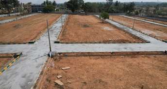  Plot For Resale in Bannerghatta Road Bangalore 6775988