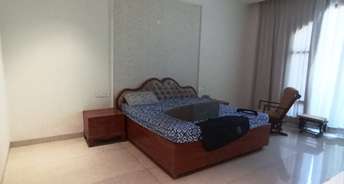 5 BHK Independent House For Rent in Sector 79 Mohali 6776116