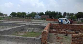  Plot For Resale in Pari Chowk Greater Noida 6776329