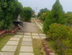  Plot For Resale in Nh 65 Hyderabad 6776421