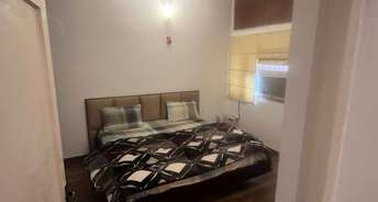 4 BHK Independent House For Rent in Sunny Enclave Chandigarh 6776720