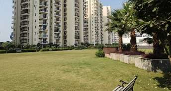 3 BHK Apartment For Resale in MGH Mulberry County Sector 70 Faridabad 6776741