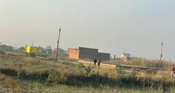  Plot For Resale in Sector 71 Faridabad 6776782