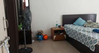 2 BHK Apartment For Rent in Shivalik Nagar Haridwar 6776520