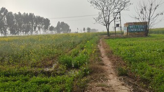 Commercial Land 1 Acre For Resale in Binjhol Panipat  6777328