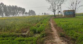 Commercial Land 1 Acre For Resale In Binjhol Panipat 6777328