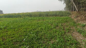 Commercial Land 1 Acre For Resale in Binjhol Panipat  6777328