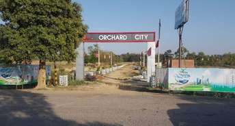  Plot For Resale in Paraiso Realty Orchard City Faizabad Road Lucknow 6777368
