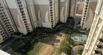 1 BHK Apartment For Rent in Shapoorji Pallonji Tornado Hinjewadi Pune 6777370