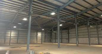 Commercial Warehouse 11000 Sq.Ft. For Rent In Pali Road Faridabad 6777563