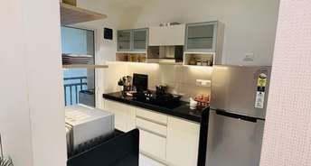 2 BHK Apartment For Resale in Brighton Apartment Balkum Thane 6777703