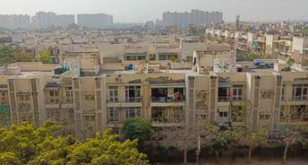 3 BHK Apartment For Rent in RPS Savana Sector 88 Faridabad 6777788