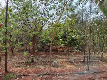 Plot For Resale in Aler City Hyderabad  6778108