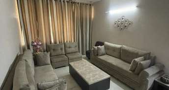 2 BHK Builder Floor For Rent in Chanderpriya Apartments Rohini Sector 8 Delhi 6779117