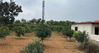 Commercial Land 1 Acre For Resale In Shamirpet Hyderabad 6779465