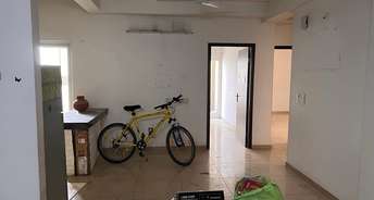 3 BHK Apartment For Rent in Gulshan Ikebana Sector 143 Noida 6779950