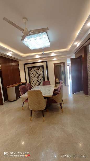 3 BHK Builder Floor For Rent in Pitampura Delhi 6779985