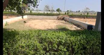  Plot For Resale in Jewar Greater Noida 6780177