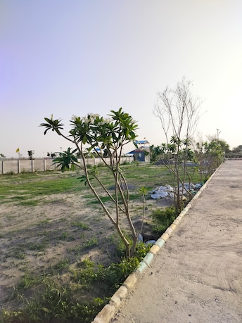 Plot For Resale in Gn Sector Chi V Greater Noida  6780181