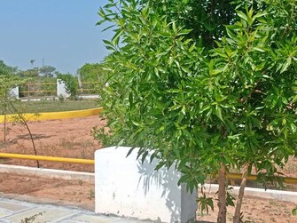 Plot For Resale in CBC Cosmopolis Mirkhanpet Hyderabad  6780384