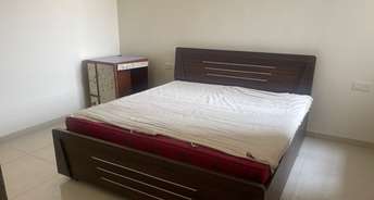 2 BHK Apartment For Rent in Goyal Orchid Blues Shela Ahmedabad 6780473