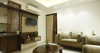 1 BHK Builder Floor For Rent in Dlf Phase ii Gurgaon 6780727