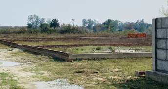  Plot For Resale in Behta Lucknow 6780775