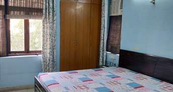 1 BHK Apartment For Rent in The Surbhi Apartment Sector 43 Gurgaon 6781109