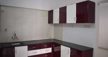1 BHK Apartment For Rent in Venkatesh Graffiti Keshav Nagar Pune 6781240
