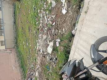  Plot For Resale in Sector 9 Ambala 6781374