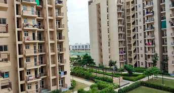 3 BHK Apartment For Resale in BPTP Park Elite Premium Sector 84 Faridabad 6781505