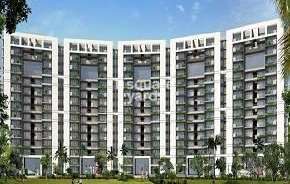 4 BHK Apartment For Rent in Tulip Violet Sector 69 Gurgaon 6781606