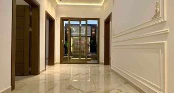 3 BHK Builder Floor For Rent in Pitampura Delhi 6781682