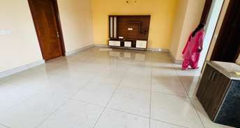 5 BHK Independent House For Rent in Sector 2 Bahadurgarh 6765226