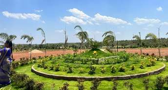 Plot For Resale in Siddapur Hyderabad 6781839