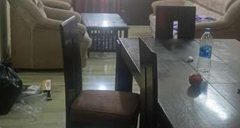 3 BHK Builder Floor For Rent in Empire Floors Sector 57 Gurgaon 6781878