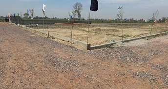  Plot For Resale in Gn Sector Omicron Iii Greater Noida 6781928