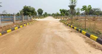  Plot For Resale in Sangareddy Hyderabad 6782368
