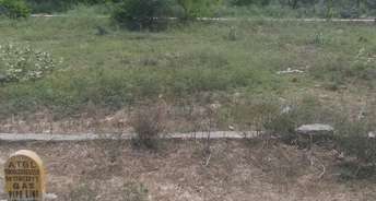  Plot For Resale in Sector 65 Faridabad 6782556